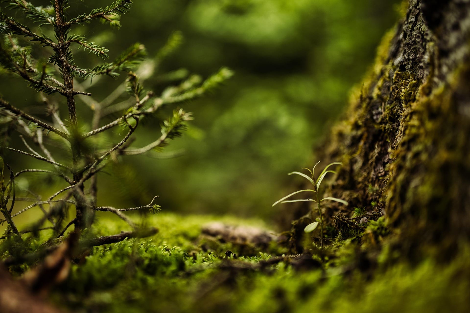 Conscience de l'invisible